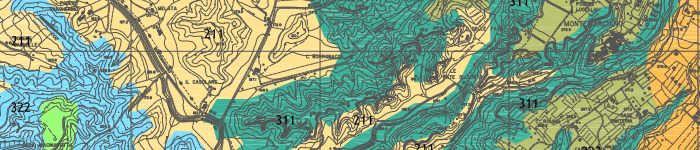 Un estratto della cartografia delle ANPIL - Aree Naturali Protette di Interesse Locale